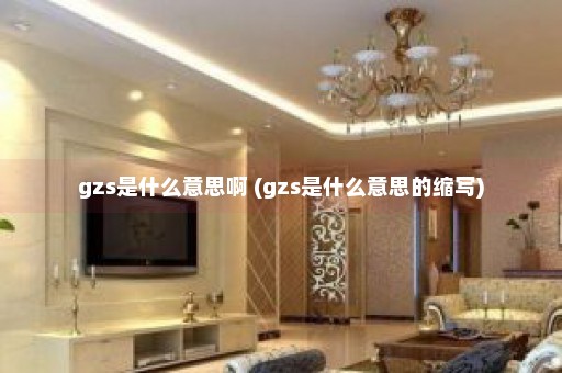 gzs是什么意思啊 (gzs是什么意思的缩写)