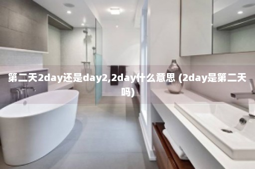 第二天2day还是day2,2day什么意思 (2day是第二天吗)