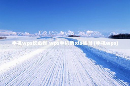 手机wps长截图 wps手机版xls截图 (手机wps)