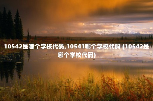 10542是哪个学校代码,10541哪个学校代码 (10542是哪个学校代码)