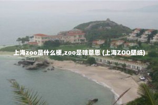 上海zoo是什么梗,zoo是啥意思 (上海ZOO壁纸)