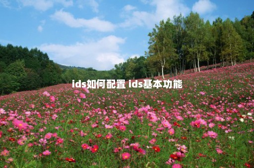 ids如何配置 ids基本功能