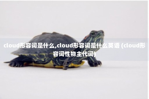 cloud形容词是什么,cloud形容词是什么英语 (cloud形容词性物主代词)