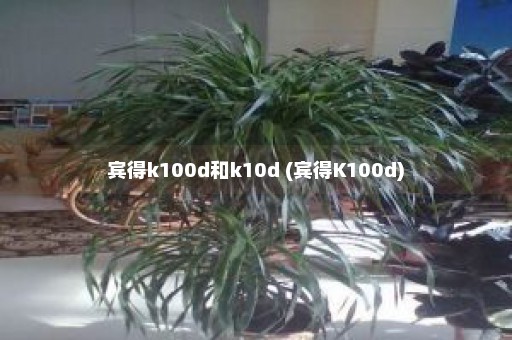 宾得k100d和k10d (宾得K100d)