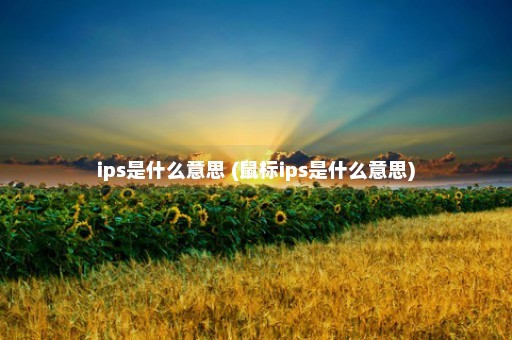 ips是什么意思 (鼠标ips是什么意思)