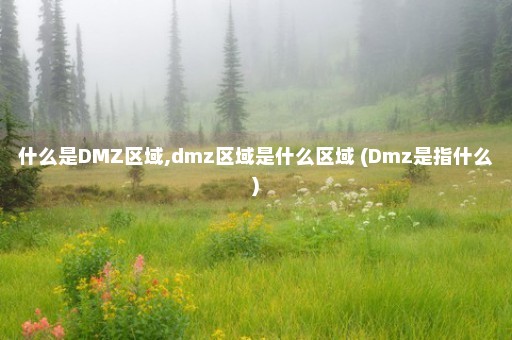 什么是DMZ区域,dmz区域是什么区域 (Dmz是指什么)