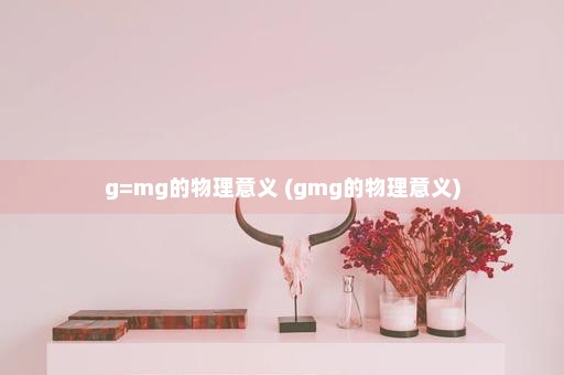 g=mg的物理意义 (gmg的物理意义)