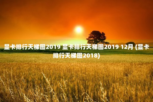 显卡排行天梯图2019 显卡排行天梯图2019 12月 (显卡排行天梯图2018)