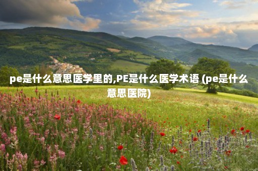 pe是什么意思医学里的,PE是什么医学术语 (pe是什么意思医院)