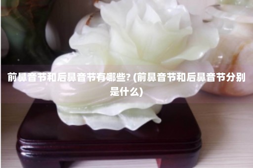 前鼻音节和后鼻音节有哪些? (前鼻音节和后鼻音节分别是什么)