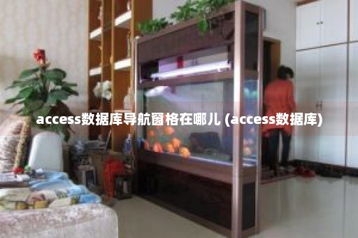 access数据库导航窗格在哪儿 (access数据库)