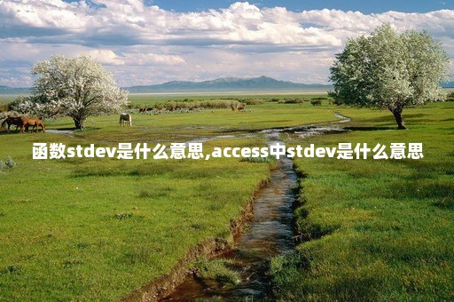 函数stdev是什么意思,access中stdev是什么意思