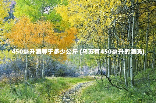 450毫升酒等于多少公斤 (乌苏有450毫升的酒吗)