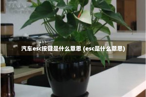 汽车esc按键是什么意思 (esc是什么意思)