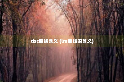 dsc曲线含义 (lm曲线的含义)