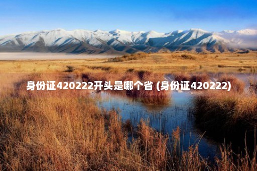 身份证420222开头是哪个省 (身份证420222)