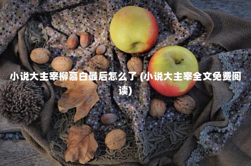 小说大主宰柳慕白最后怎么了 (小说大主宰全文免费阅读)