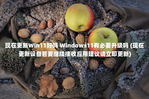 现在更新Win11好吗 Windows11有必要升级吗 (现在更新设备若要继续接收应用建议请立即更新)