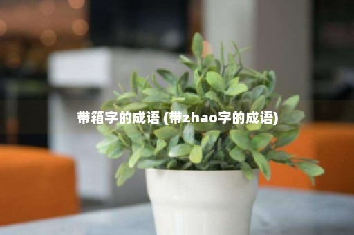 带箱字的成语 (带zhao字的成语)