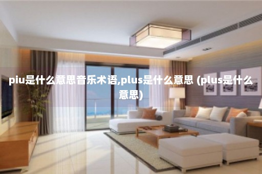 piu是什么意思音乐术语,plus是什么意思 (plus是什么意思)