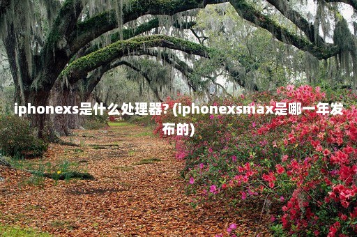 iphonexs是什么处理器? (iphonexsmax是哪一年发布的)