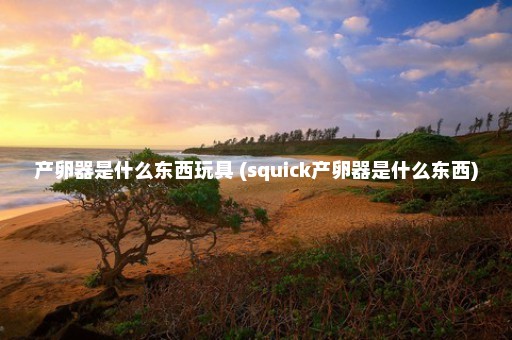 产卵器是什么东西玩具 (squick产卵器是什么东西)