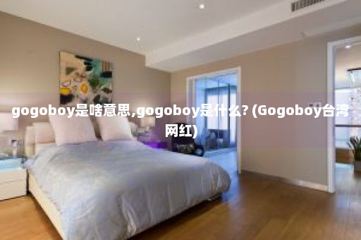 gogoboy是啥意思,gogoboy是什么? (Gogoboy台湾网红)