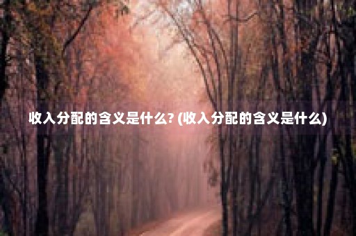 收入分配的含义是什么? (收入分配的含义是什么)