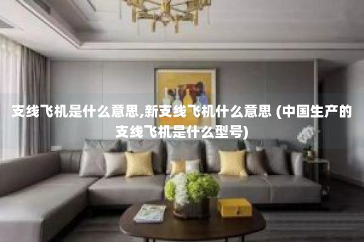 支线飞机是什么意思,新支线飞机什么意思 (中国生产的支线飞机是什么型号)