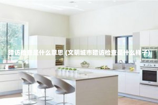 暗访检查是什么意思 (文明城市暗访检查是什么样子)