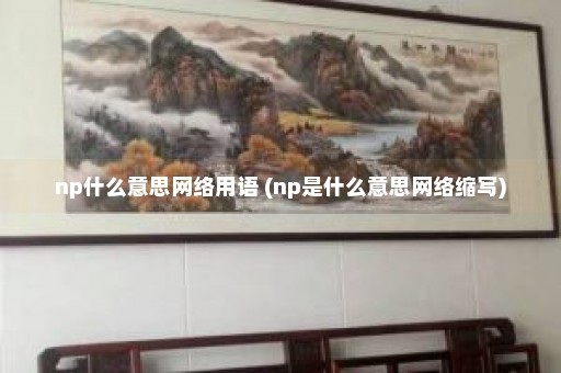 np什么意思网络用语 (np是什么意思网络缩写)