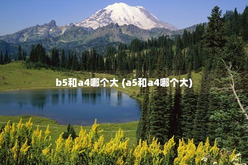 b5和a4哪个大 (a5和a4哪个大)