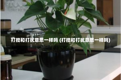 打搅和打扰意思一样吗 (打搅和打扰意思一样吗)