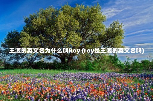 王源的英文名为什么叫Roy (roy是王源的英文名吗)