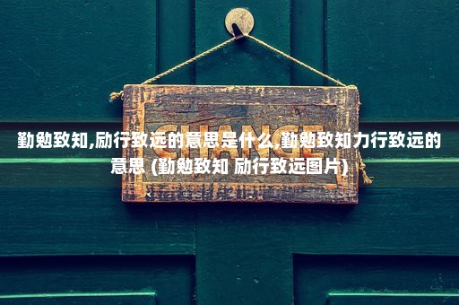 勤勉致知,励行致远的意思是什么,勤勉致知力行致远的意思 (勤勉致知 励行致远图片)