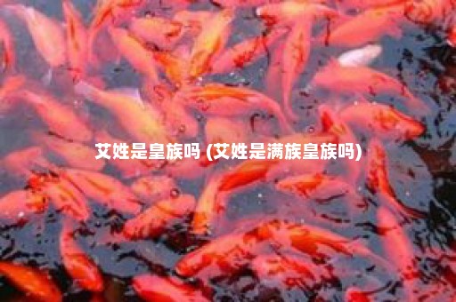 艾姓是皇族吗 (艾姓是满族皇族吗)