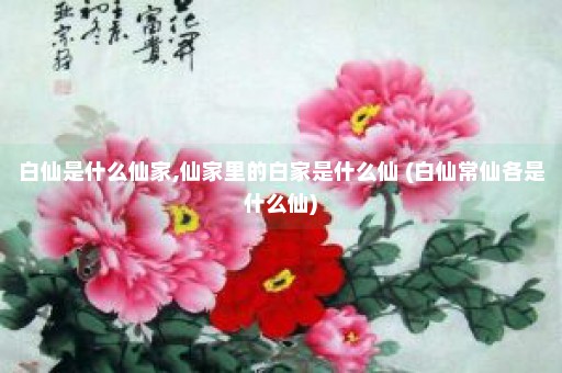 白仙是什么仙家,仙家里的白家是什么仙 (白仙常仙各是什么仙)