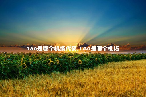 tao是哪个机场代码,TAo是哪个机场