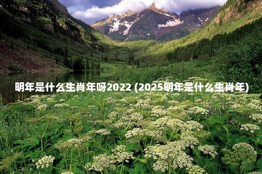 明年是什么生肖年呀2022 (2025明年是什么生肖年)