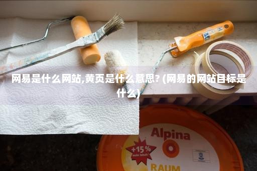 网易是什么网站,黄页是什么意思? (网易的网站目标是什么)