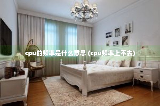 cpu的频率是什么意思 (cpu频率上不去)