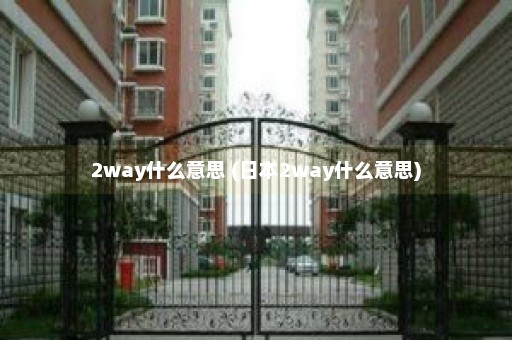 2way什么意思 (日本2way什么意思)