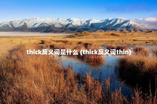 thick反义词是什么 (thick反义词thin)