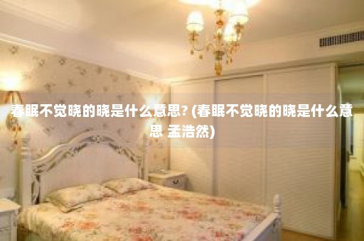 春眠不觉晓的晓是什么意思? (春眠不觉晓的晓是什么意思 孟浩然)