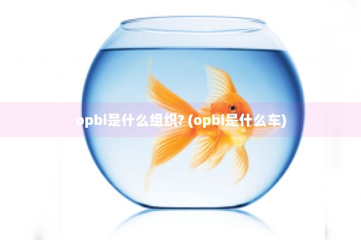 opbi是什么组织? (opbi是什么车)