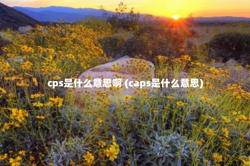 cps是什么意思啊 (caps是什么意思)