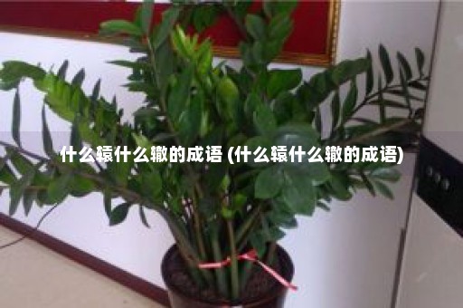 什么辕什么辙的成语 (什么辕什么辙的成语)