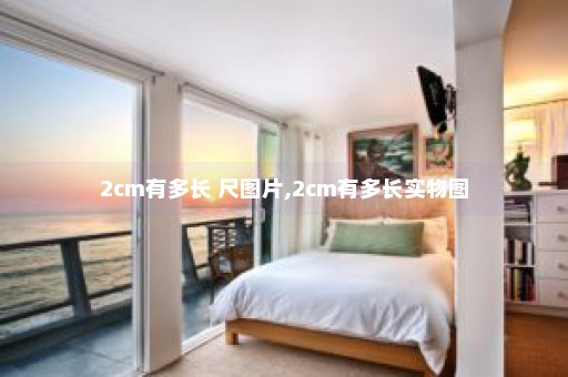 2cm有多长 尺图片,2cm有多长实物图