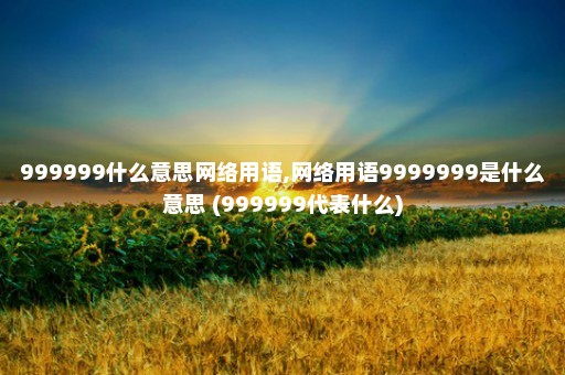 999999什么意思网络用语,网络用语9999999是什么意思 (999999代表什么)