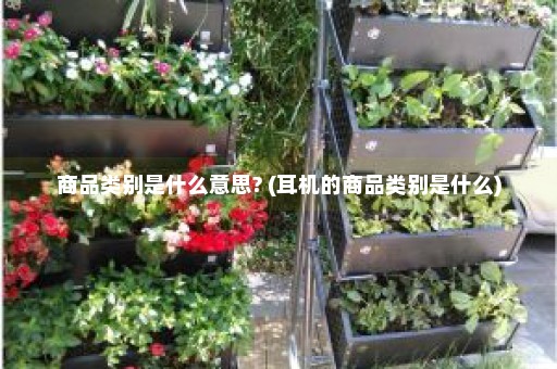 商品类别是什么意思? (耳机的商品类别是什么)